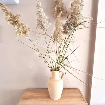 2 Cozy Apts, Fast Internet, 5 Min Walk To Beach! アパート