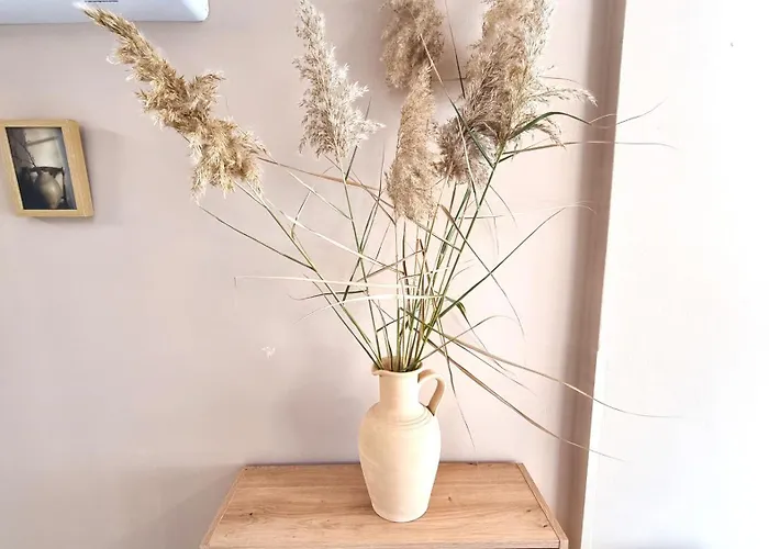 2 Cozy Apts, Fast Internet, 5 Min Walk To Beach! アパート